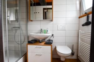 a bathroom with a sink and a toilet and a shower at Eulenhäusle in Schramberg