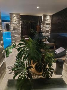a large plant in a room with a pool at апартаменты GREENWOOD in Odesa