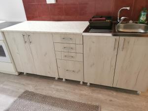 Kuchyň nebo kuchyňský kout v ubytování Apartman Azra