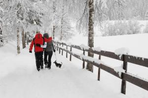 Το Pension Oberbräu τον χειμώνα