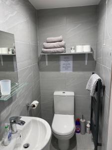 ein Badezimmer mit einem weißen WC und einem Waschbecken in der Unterkunft Ty Bach in Bagilt