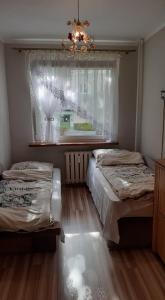 a bedroom with two twin beds and a window at Apartament M-5 in Częstochowa