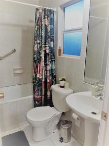ein Badezimmer mit einem WC, einem Waschbecken und einem Duschvorhang in der Unterkunft Apartamento Estocolmo I in Valdivia