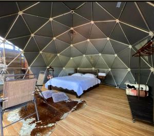 une grande chambre avec un lit dans une tente dans l'établissement Glamping Montecarlo Domo Geodesico y Sauna Finlandés Guatapé, à Guatapé