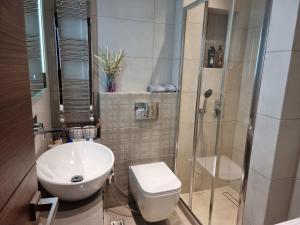 łazienka z prysznicem, toaletą i umywalką w obiekcie Iris City Center Premium Studio w Salonikach