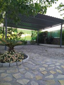 Vonkajšia záhrada v ubytovaní Cueva El Haro