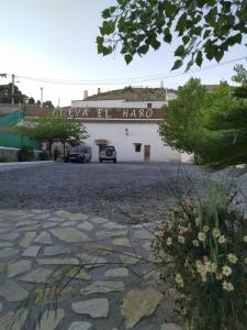 Príroda v okolí of the country house