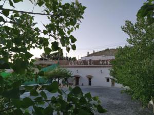 Príroda v okolí of the country house
