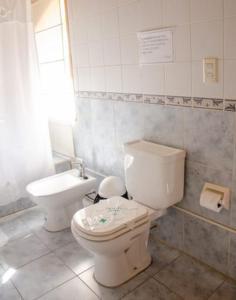a bathroom with a toilet and a sink at Hosteria La Farfalla in Chos Malal