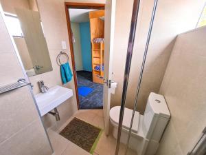 a bathroom with a toilet, sink, and shower at Adventure Queenstown Hostel in Queenstown