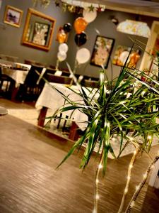 Windsor Hotel Miles的休息区