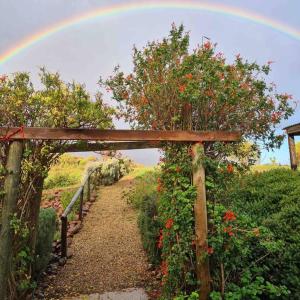 a rainbow in the sky over a garden with flowers at Exquisite chalet on private nature reserve in Wolseley