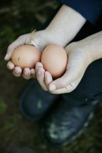 瑪格麗特河的住宿－瑪格麗特河畔小屋，手上拿着两个鸡蛋的人
