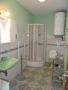 ein Bad mit einer Dusche, einem Waschbecken und einem WC in der Unterkunft Penzion Skalíček in Königseck