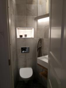 Un baño pequeño con inodoro y lavabo. en Central Ojakatu, en Tampere