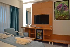 a hotel room with a tv and a bed and a chair at TEZMADRA HOTEL in Burhaniye