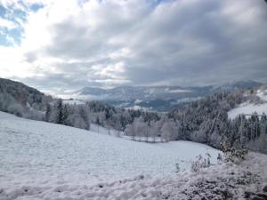 Príroda v okolí apartmánu