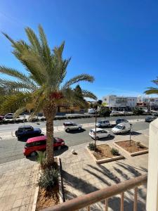 a palm tree in a parking lot with cars at 109 Queens Gardens, Paphos in Paphos