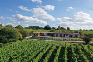 un vignoble avec une maison et un champ de vignes dans l'établissement Aux Escapades de Monbazillac, à Monbazillac