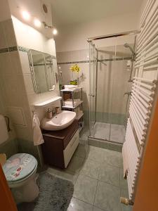 a bathroom with a shower and a toilet and a sink at Fészek Apartman Sopron in Sopron
