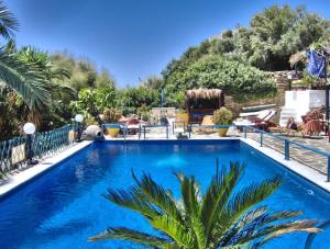 a large blue swimming pool with a palm tree in the foreground at Villa Rena in Batsi