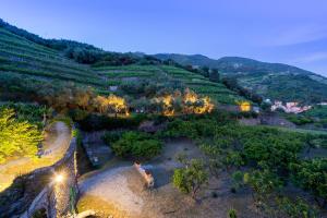 an aerial view of a vineyard in the hills at Agriturismo Buranco in Monterosso al Mare