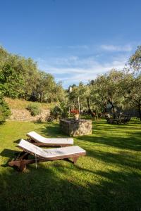 two picnic tables in the grass in a park at Agriturismo Buranco in Monterosso al Mare