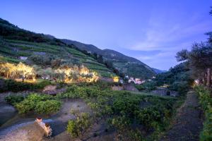 an aerial view of a vineyard at night at Agriturismo Buranco in Monterosso al Mare