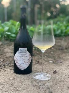 a bottle of wine sitting next to a glass at Agriturismo Buranco in Monterosso al Mare
