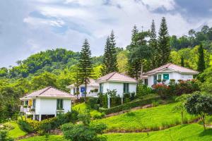 a row of houses on a hill with trees at Phukaew Resort & Adventure Park in Khao Kho