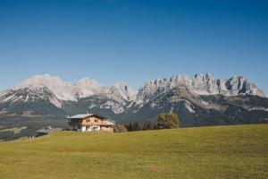 a house on a hill with mountains in the background at Apartment zu Hollenau in Going