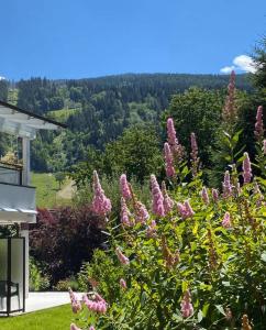 krzak różowych kwiatów przed domem w obiekcie App. Seyrl im Haus Karoline w Schladming