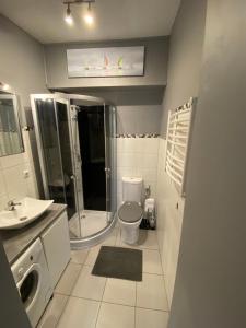 a bathroom with a shower and a toilet and a sink at Gdańskie Apartamenty - Apartament Szeroka in Gdańsk