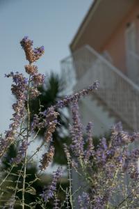 Foto dalla galleria di Ecoresort Hotel Zefyros ad Áyios Kírikos