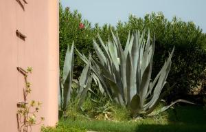 Giardino di Ecoresort Hotel Zefyros