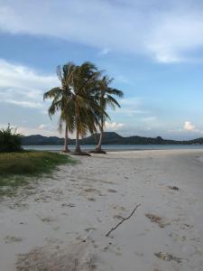 旅馆周边自然景观