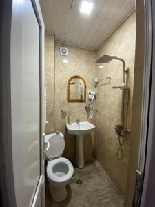 a bathroom with a toilet and a sink and a shower at Guest house chavchavadze N23 in Kazbegi +74 photos