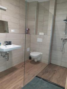 uma casa de banho com um WC, um lavatório e um chuveiro em Beach Home em Keszthely