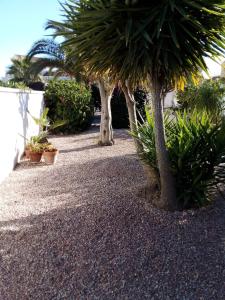un camino de grava con palmeras y plantas en L'Apostille, en Mazarrón
