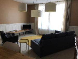 a living room with a couch and a table at L appartement des bords du Cher in Saint-Aignan