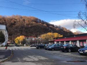 a street with cars parked in front of a mountain at La SYMO apartament STRAJA Lupeni in Lupeni