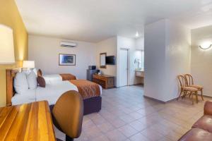 Gallery image of Comfort Inn Tampico in Tampico