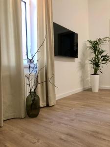 Bany a Park apartment in the heart of the city