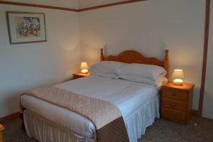 a bedroom with a bed with two night stands and two lamps at Palm Tree Cottage in Stokeinteignhead