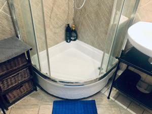 ヴロツワフにあるBlue River - ul Ciepla - near PKP and aquaparkのシャワー(洗面台の隣にガラスドア付)