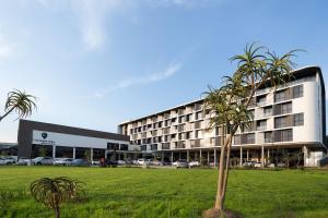 una palmera frente a un edificio en The Capital Mbombela en Nelspruit