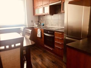 ヴロツワフにあるBlue River - ul Ciepla - near PKP and aquaparkのキッチン(木製キャビネット、ステンレス製の電化製品付)