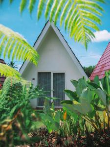 Kebun di luar Tumpaksewu Homestay