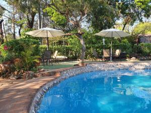 a swimming pool with two umbrellas and chairs at Victoria Falls Backpackers Lodge in Victoria Falls