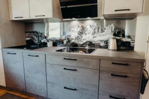 Dapur atau dapur kecil di Apartment zu Hollenau